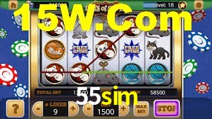 Premium Interface 55sim