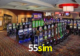 Experiência VIP 55sim